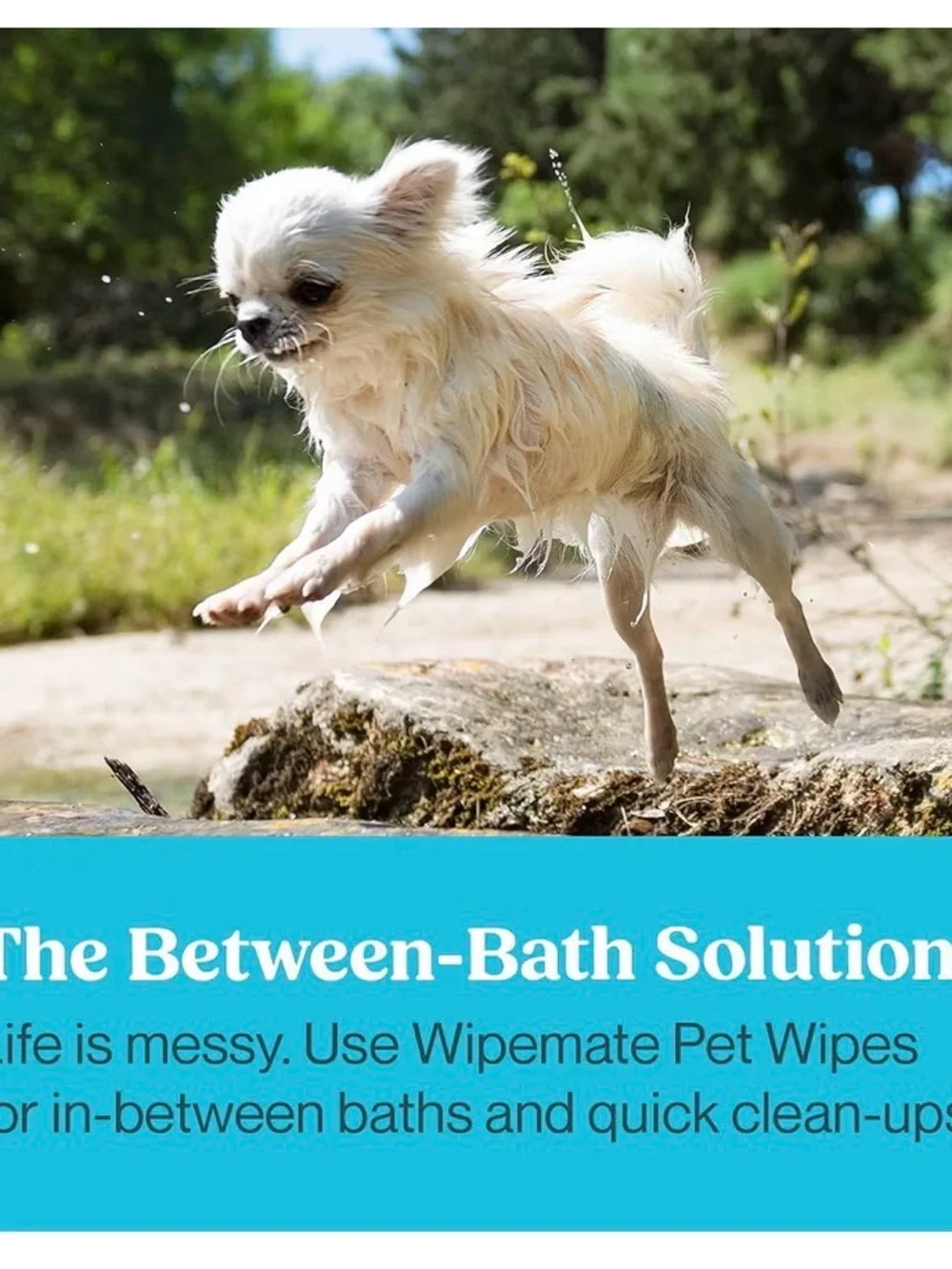 Wipemate Pet Wipes - Hypoallergenic No-Rinse Wipes 4 pack ( 400 wipes total)